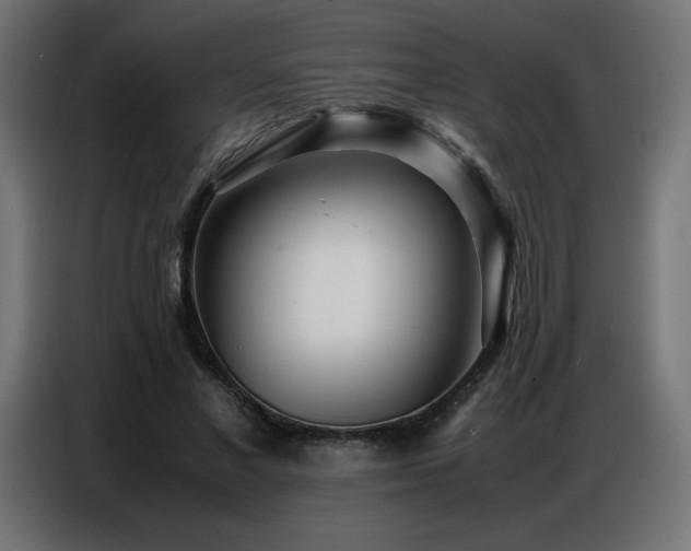 X0000086740685200704131129