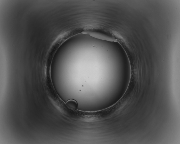 X0000086740686200704131129