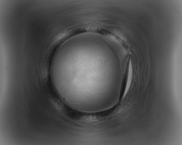 X0000086740687200704131129