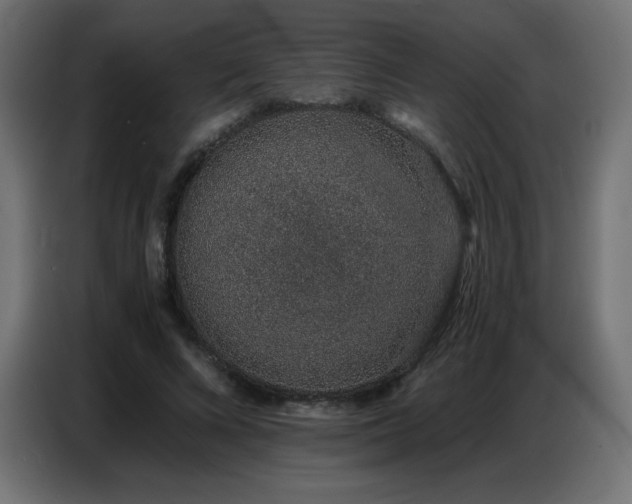 X0000086740688200704131129