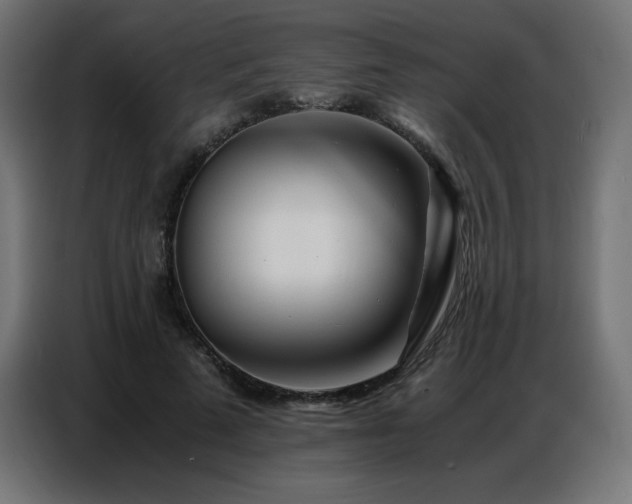 X0000086740689200704131129