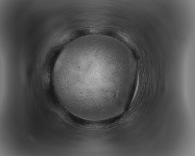 X0000086740691200704131129