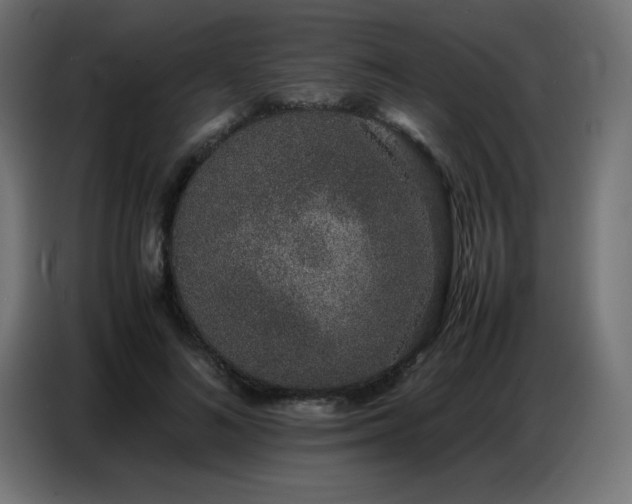 X0000086740692200704131129