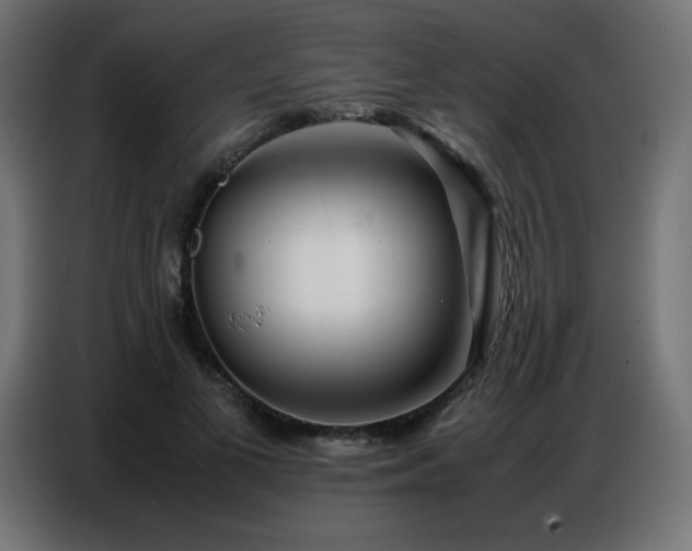 X0000086740693200704131129