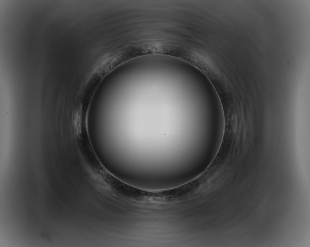 X0000086740694200704131129