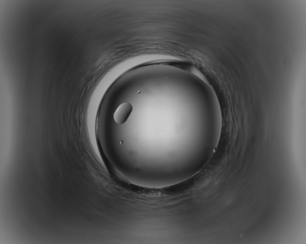 X0000086740695200704131129