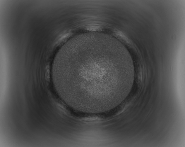 X0000086740696200704131129