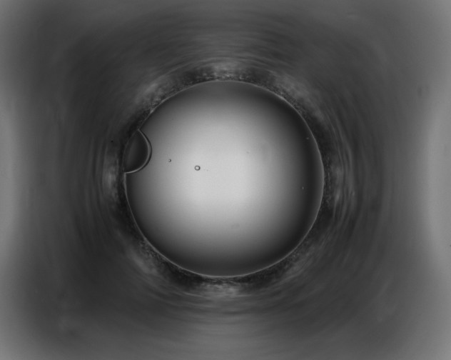 X0000086740698200704131129