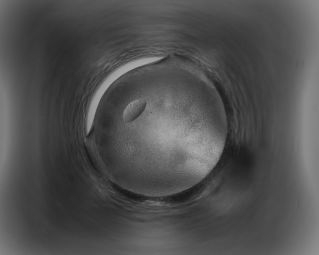 X0000086740699200704131129