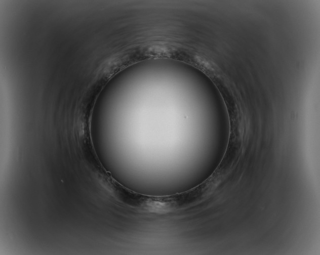 X0000086740706200704131129