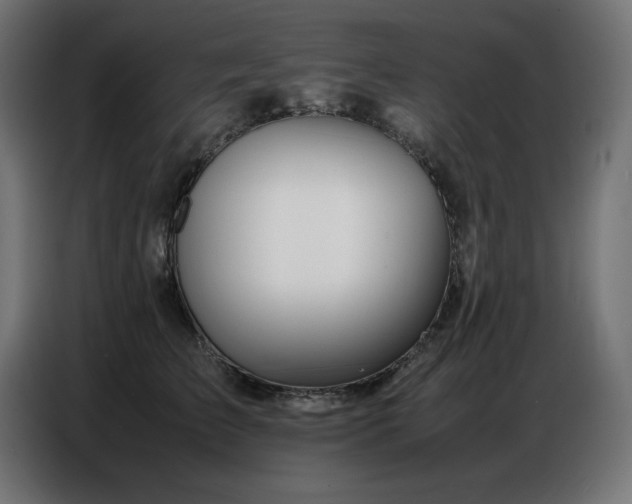 X0000086740709200704131129