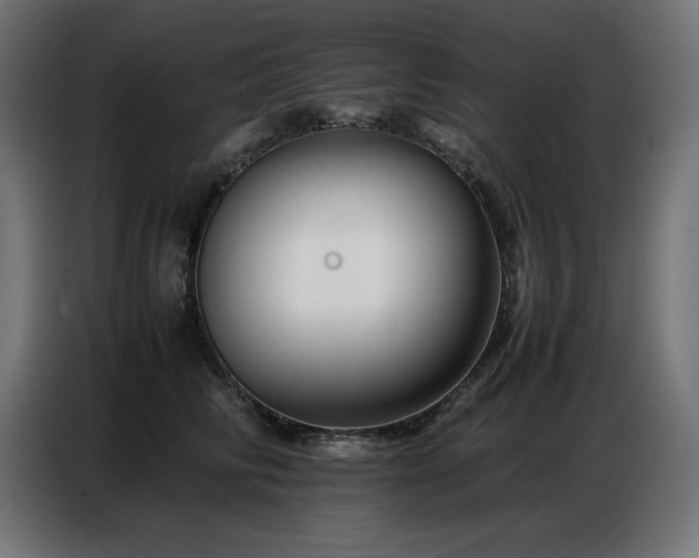 X0000086740710200704131129