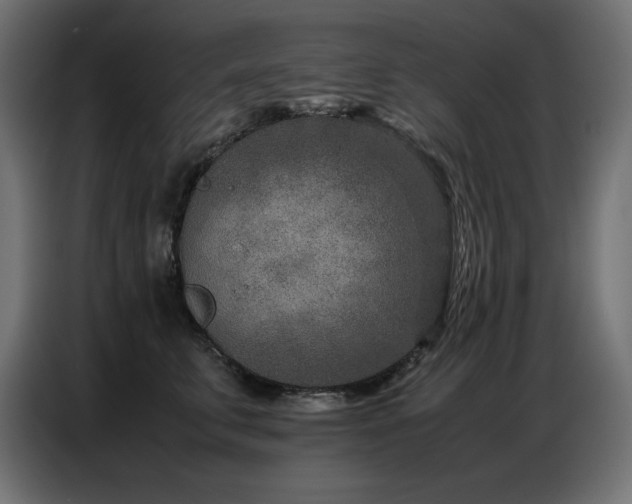 X0000086740711200704131129