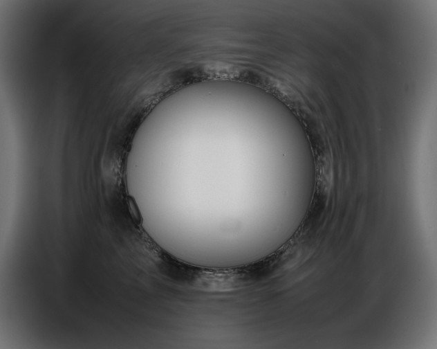 X0000086740713200704131129