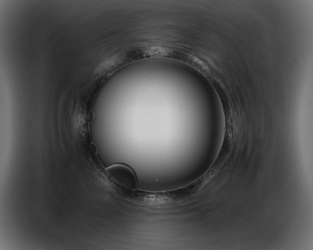 X0000086740714200704131129