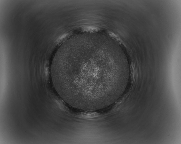 X0000086740716200704131129
