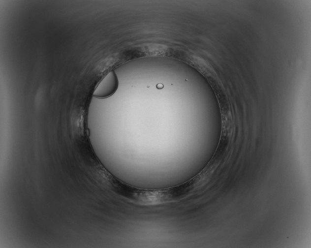 X0000086740717200704131129