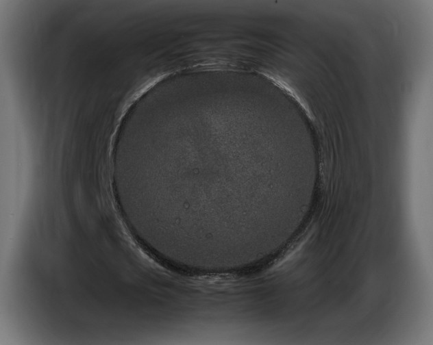 X0000086740721200704131128