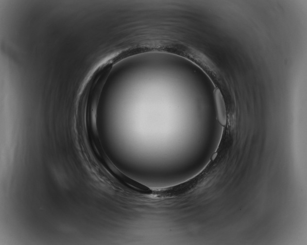X0000086740724200704131128