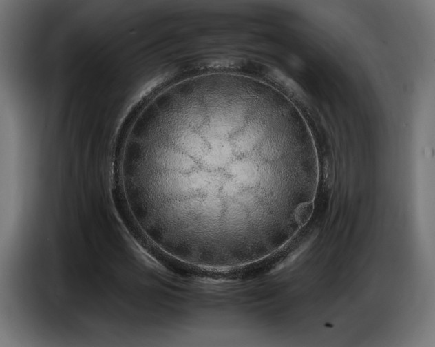 X0000086740725200704131128