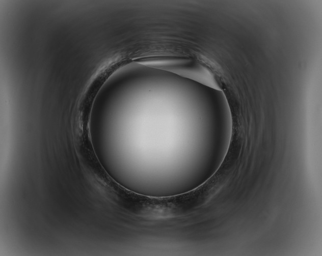 X0000086740731200704131128