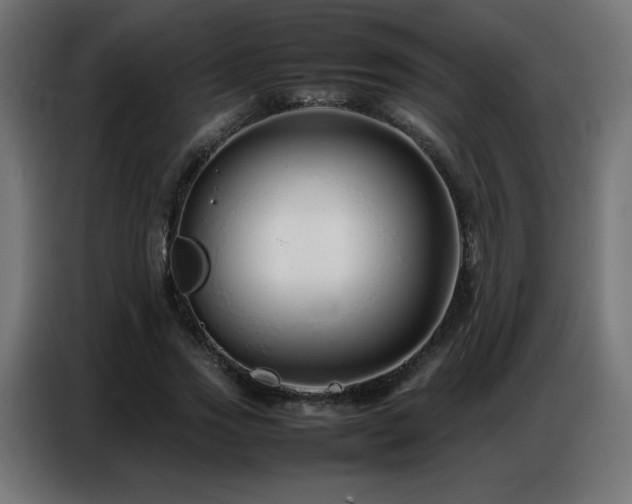 X0000086740733200704131128