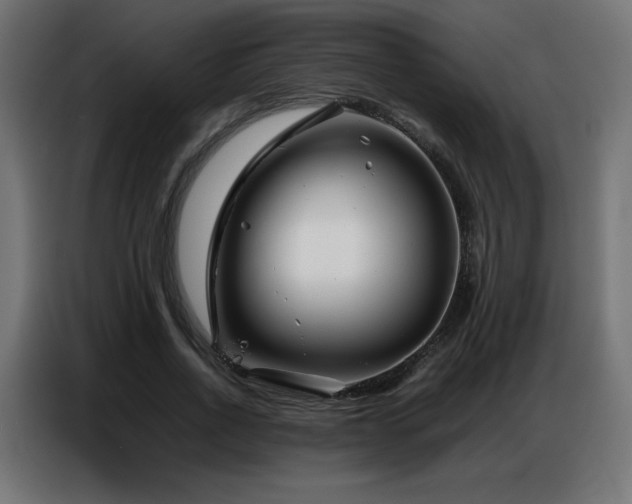X0000086740734200704131128