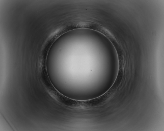X0000086740736200704131128