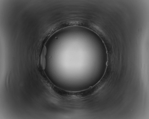 X0000086740737200704131128