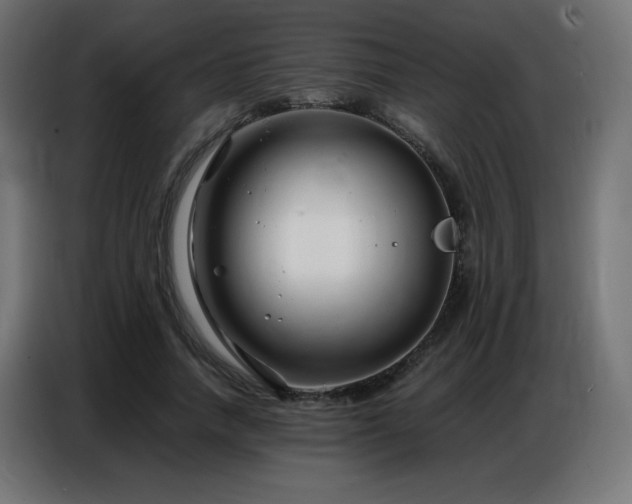 X0000086740738200704131128