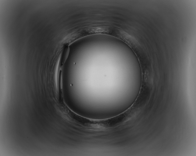 X0000086740741200704131128