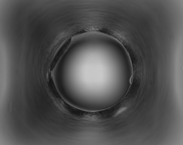X0000086740742200704131128