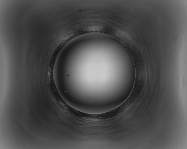 X0000086740743200704131128