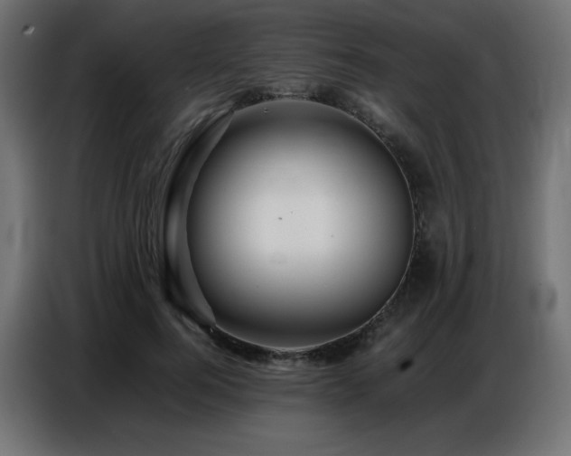 X0000086740744200704131128