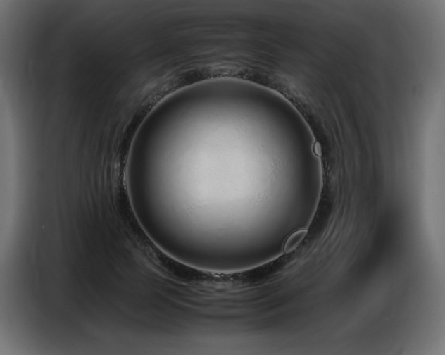X0000086740745200704131128