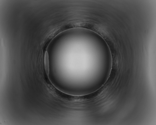 X0000086740746200704131128