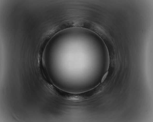 X0000086740748200704131128