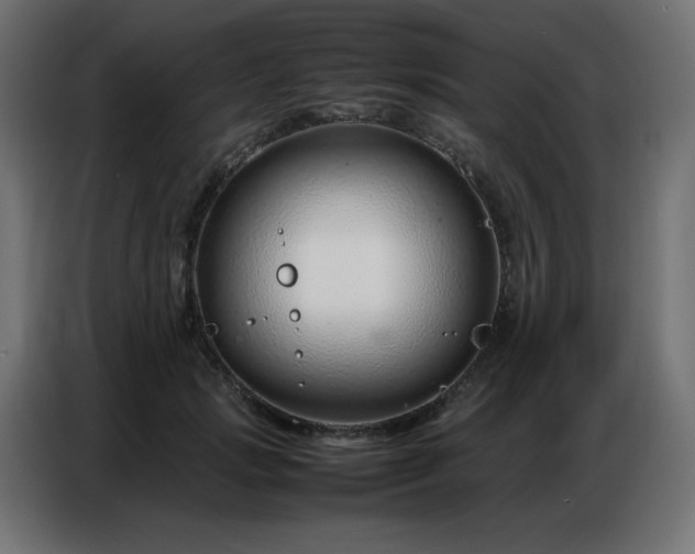 X0000086740749200704131128