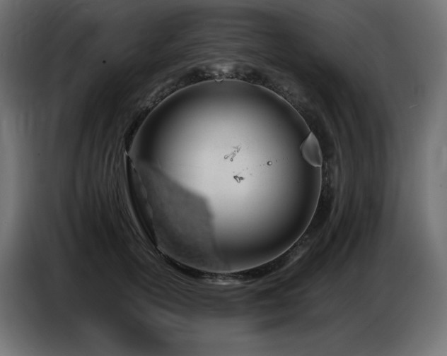 X0000086740754200704131128