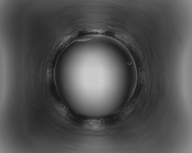 X0000086740756200704131128