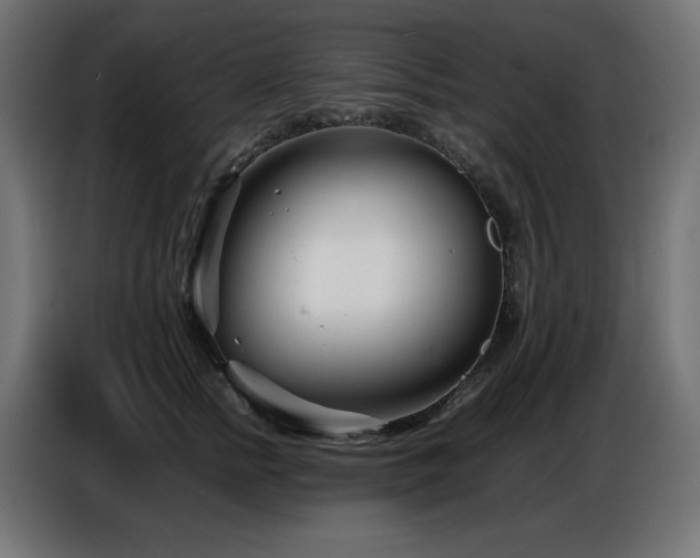 X0000086740758200704131128