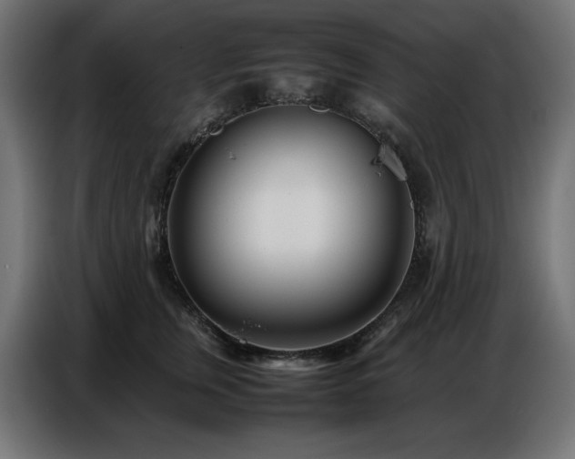 X0000086740759200704131128