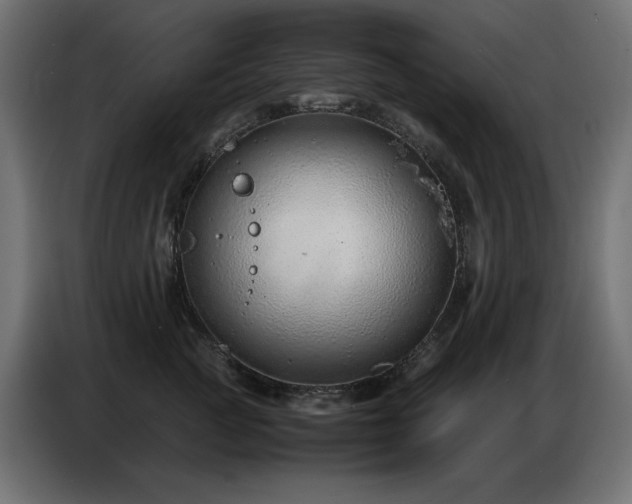 X0000086740761200704131128