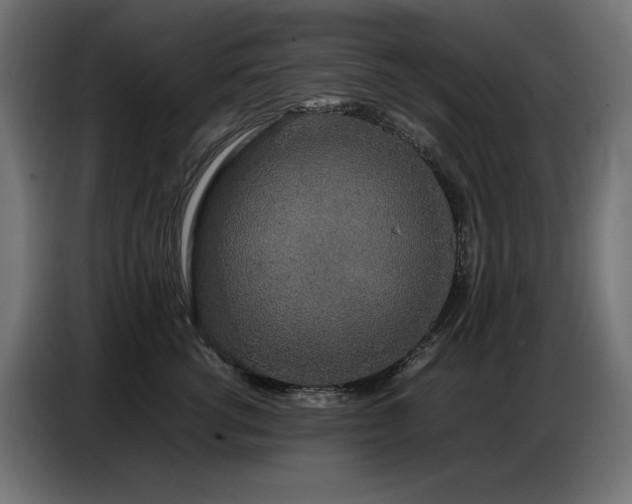 X0000086740762200704131128