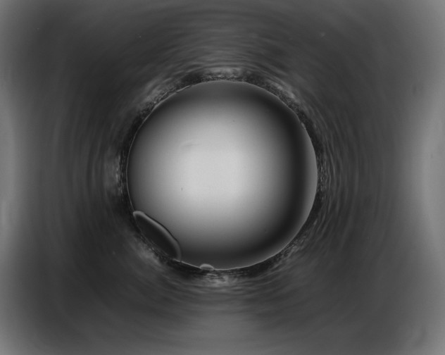 X0000086740764200704131128