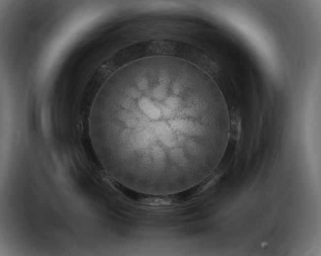 X0000086740765200704131128