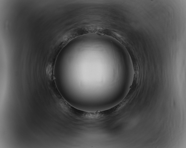 X0000086740767200704131128