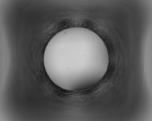 X0000086740769200704131128