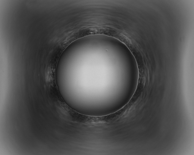 X0000086740770200704131128