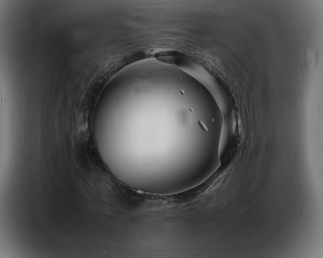 X0000086740771200704131128